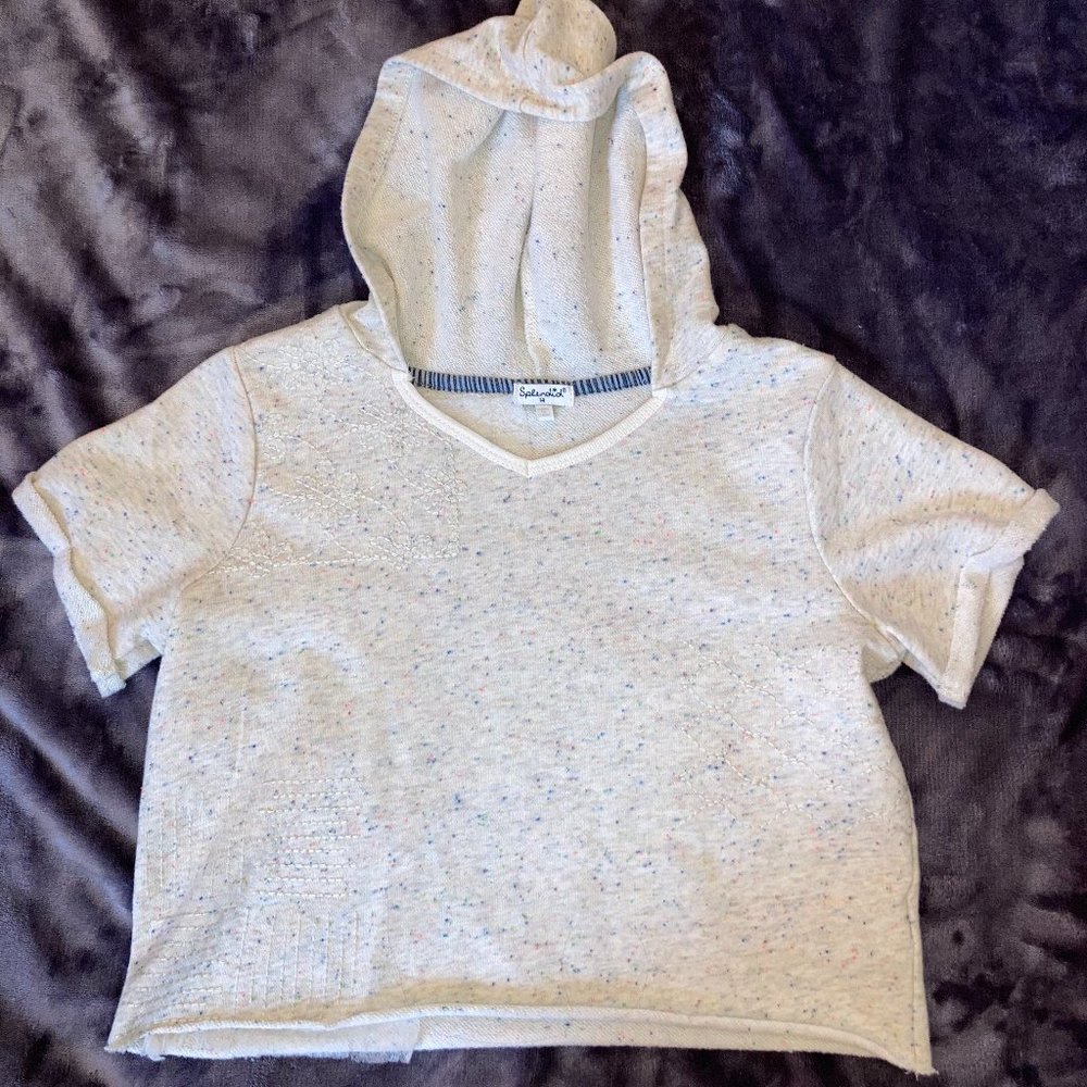 Splendid Crop Top w/ Hoodie